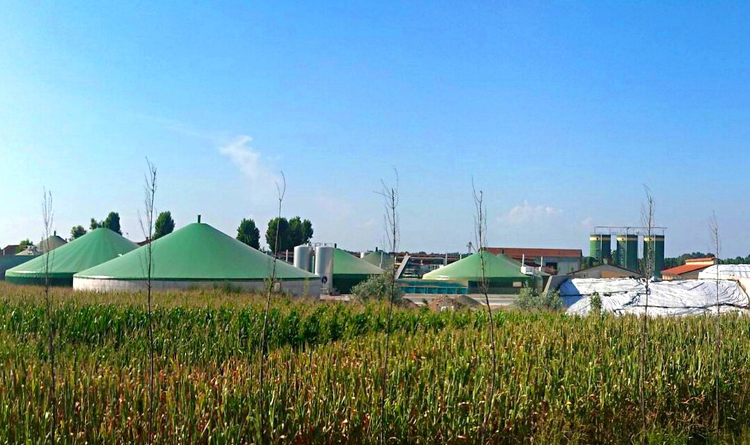 Biogasanlage mit Maisfeld und Maissilo.