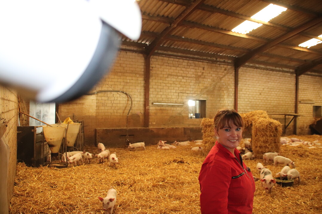 Eine Kamera ist im Strohstall angebracht. An das täg-liche Gefilmt-Werden hat sich Gabriele Mörixmann gewöhnt.