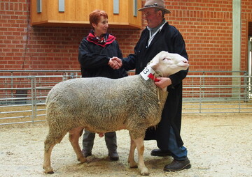 Zufriedene K�ufer, zufriedene Z�chter: Andrea Burg, Kandel und Dieter Hertler, Deggingen freuen sich �ber den Gesamtsieger bei den Merinolandschafen.