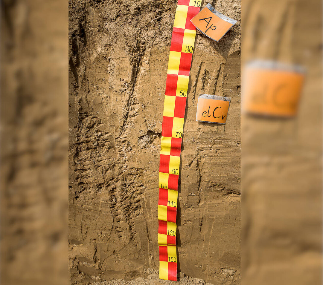 Goethit verleiht den B�den der gem��igten Klimazone ihre charakteristische F�rbung.