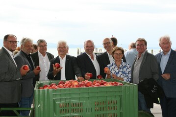 Zusammen mit der Staatssekretärin Sabine Kurtz vom Stuttgarter Landwirtschaftsministerium haben Politiker und Vertreter aus dem Berufsstand in Kressbronn die Bodensee-Apfelsaison eröffnet.