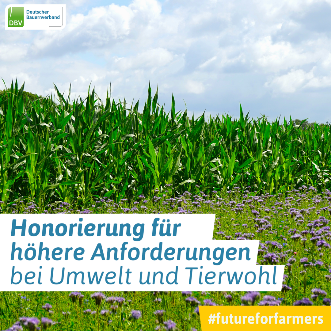 farmersforfuture - Kampagne anlässlich der Agrarministerkonferenz in Deutschland