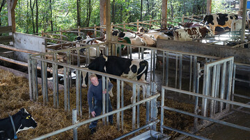 Der weiche Untergrund im Liegebereich des Bullen bietet Kuhkomfort und ermöglicht einen sicheren Stand.
