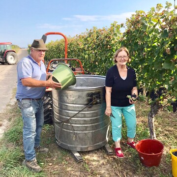 Das Ehepaar Dangel aus Waltershofen bei der diesj�hrigen Lese.