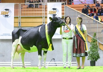 Bei den Holsteinkühen siegte die Zweitkalbskuh Rihanna aus der Zucht von Markus und Kerstin Mock in Markdorf