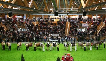 Am 14. M�rz 2010 findet wieder eine gemeinsame Landesschau der Rassen Fleckvieh, Holsteins und Braunvieh in der Arena Hohenlohe in Ilshofen statt.