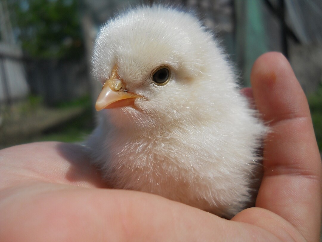 dante041/www.pixabay.de