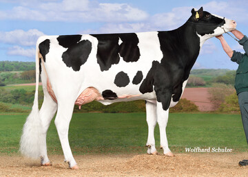 Die Kerrigan-Tochter City stammt mütterlicherseits von Canetti ab.