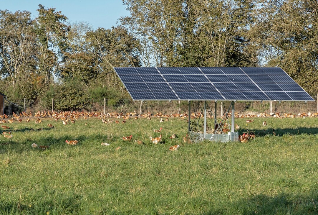 Bei Agri-PV muss differenziert werden zwischen PV-Anlagen mit einer Mindesthöhe von 2,10 m, bei denen mit einer höheren Einspeisevergütung zu rechnen sein dürfte, und Agri-PV mit einer Mindesthöhe von unter 2,10 m, für die es dann die reguläre EEG-Vergütung geben wird.