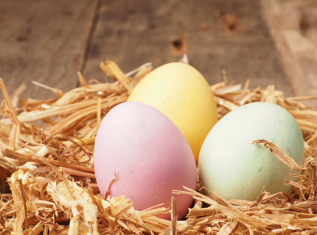 Zu Ostern sind nicht nur in Niedersachsen die Eier knapp und teuer.