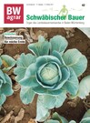 Cover BWAgrar SB 2023/42