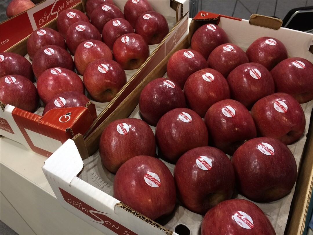 Mit ihrer purpurroten Farbe besticht die neue Clubsorte Crimson Snwo, die k�nftig unter dem Dach der S�dtiroler VOG mit angebaut wird. 