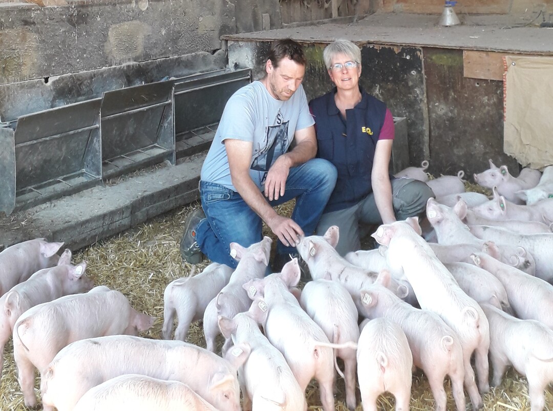 Sibylle Karsch bewirtschaftet mit ihrem Mann Christian Karsch in Grosselfingen (Landkreis Zollernalb) einen Ferkelerzeugerbetrieb mit 70 Zuchtsauen. Seit 2016 geh�ren sie der EZO an und ziehen Ferkel f�r das Hofgl�ck-Programm von Edeka S�dwest auf.