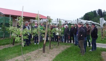 Interessiert begutachten die Obstbauern die Ergebnisse der mechanischen Bodenbearbeitung mit einem Kr�mler.