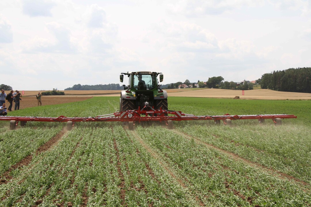 Der gro�e Belastungsbereich des Striegelzinkens erm�glicht schonendes
und auch sehr aggressives Arbeiten - je nach Zielstellung.