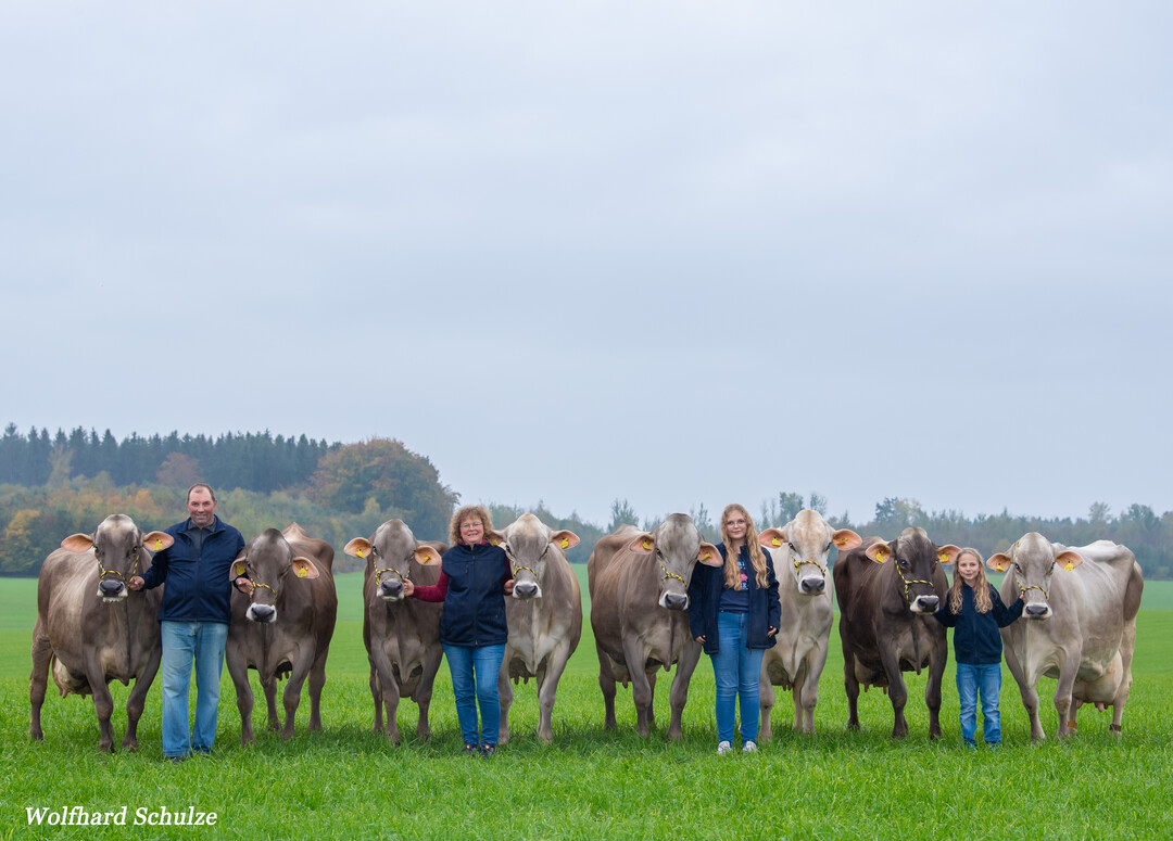 �ber 100.000 Kilogramm Milch k�nnen diese K�he auf dem Betrieb von Familie Schmaus in Haslach bei ihrer Lebensleistung verbuchen (v.l.n.r.): Lolita (Vanpari) 107.062 kg, Napoli (Vapiano) 104.192 kg, Taube (Vasir) 120.148 kg, Lava (Vigor) 104.497 kg, Lama (Vanpari) 107.414 kg, Sindy (Payssli) 102.412 kg, Neckar (Huxoy) 103.169 kg und Natalie (Huray) 140.473 kg.
