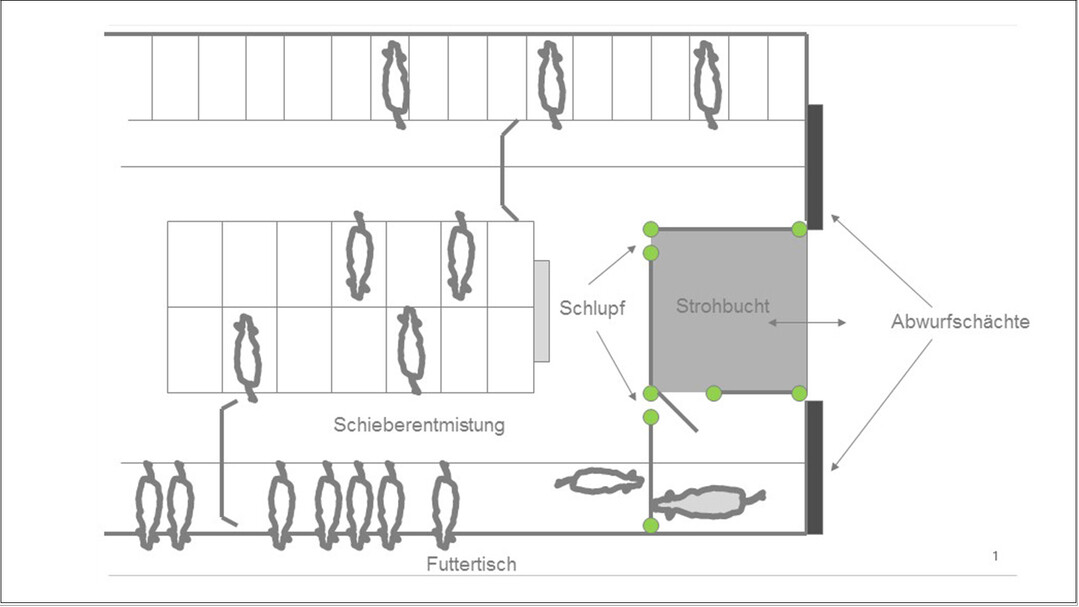 Die Abbildung zeigt eine Variante zur Integration einer Deckbullenbucht im Boxenlaufstall.