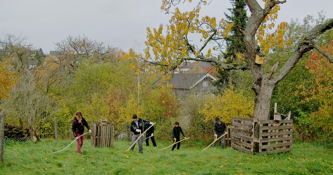  2. Preis Innovative Projekte: Sensenkurse waren nur eine von vielen Aktionen im Rahmen des Projekts Dorf.Bio.Top!, um wieder mehr Vielfalt ins Dorf zu holen.