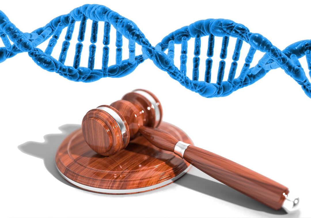 Montage zum Urteil zu den neuen Z�chtungsmethoden.