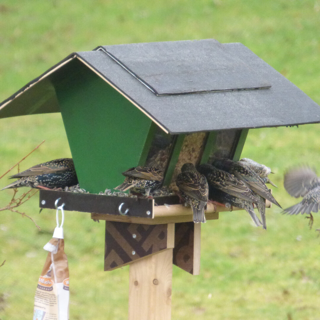Vogelfutterhäuschen gibt es in den unterschiedlichsten Varianten.