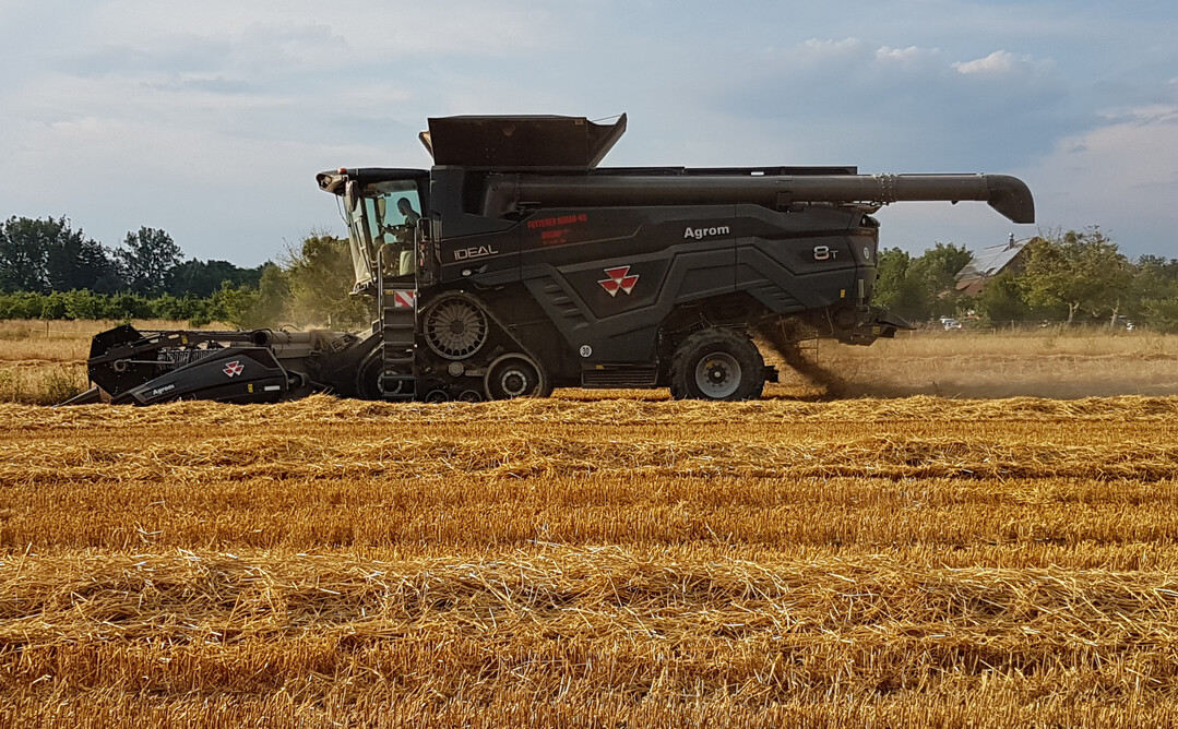In diesem Jahr wird in Deutschland laut DRV mit knapp 42 Millionen Tonnen eine leicht unterdurchschnittliche Getreideernte eingefahren, bei Raps erwartet der DRV mit knapp 4,1 Millionen Tonnen eine Erntemenge auf Vorjahresniveau. Die Qualit�ten fallen heterogen aus.