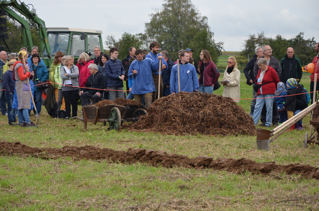 Ausbringen von Stallmist