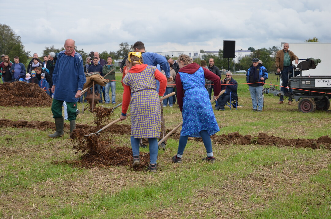 Ausbringen von Stallmist