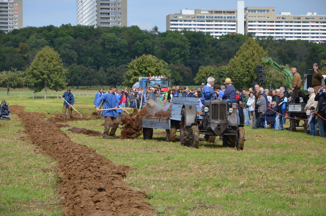 Schlepper l�sen Pferde bei der Ausbringung von Stallmist ab.