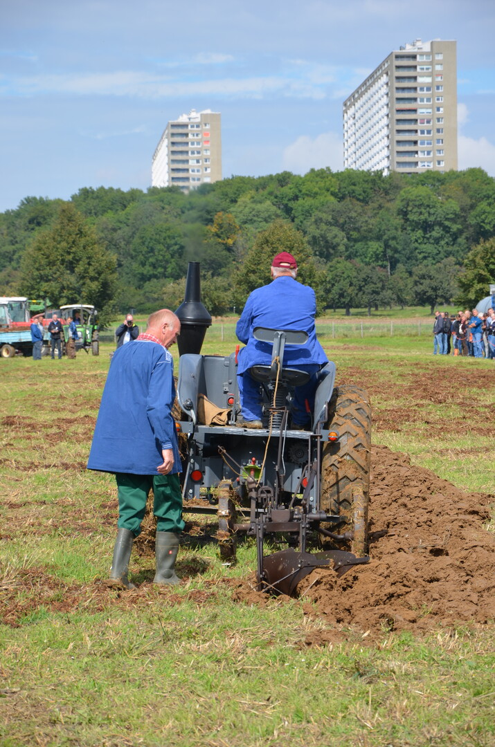 Einarbeitung mit einem Beetpflug.