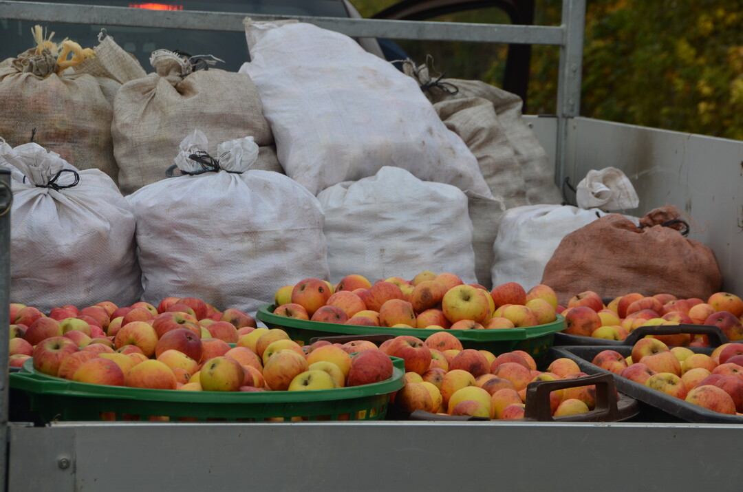 Die Kunden liefern ihr eigenes Obst an und bekommen auch garantiert ihren eigenen Saft zur�ck. Ab 1000 Liter Saft kommt Rainer Broch direkt zum Erzeuger.