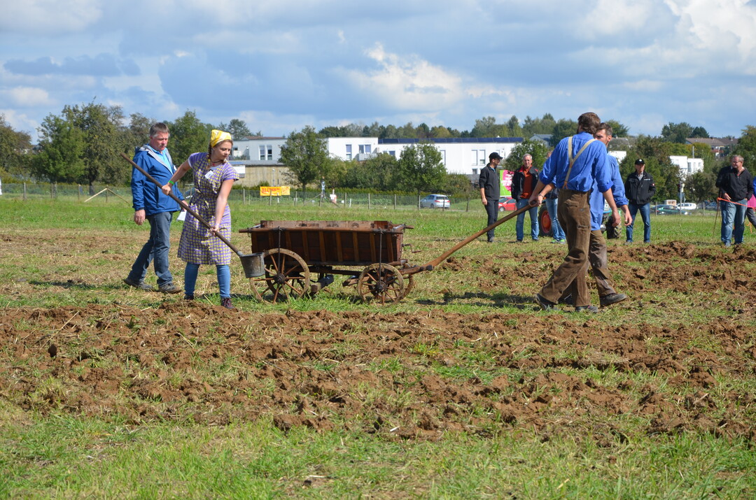 Manuelle Ausbringung von Fl�ssigd�nger.