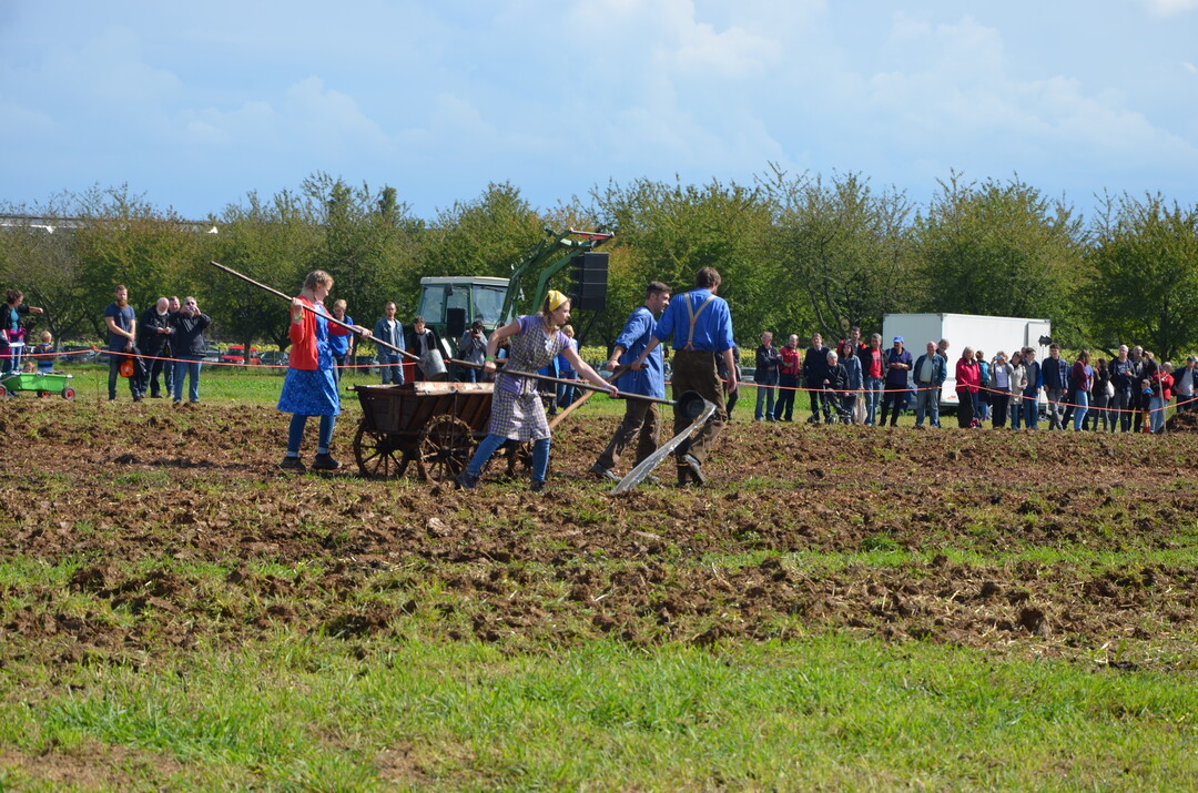 Manuelle Ausbringung von Fl�ssigd�nger.