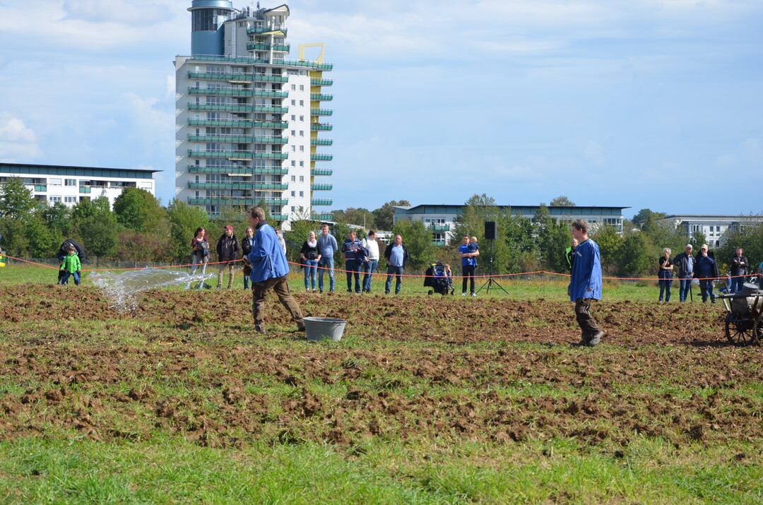 Manuelle Ausbringung von Fl�ssigd�nger.