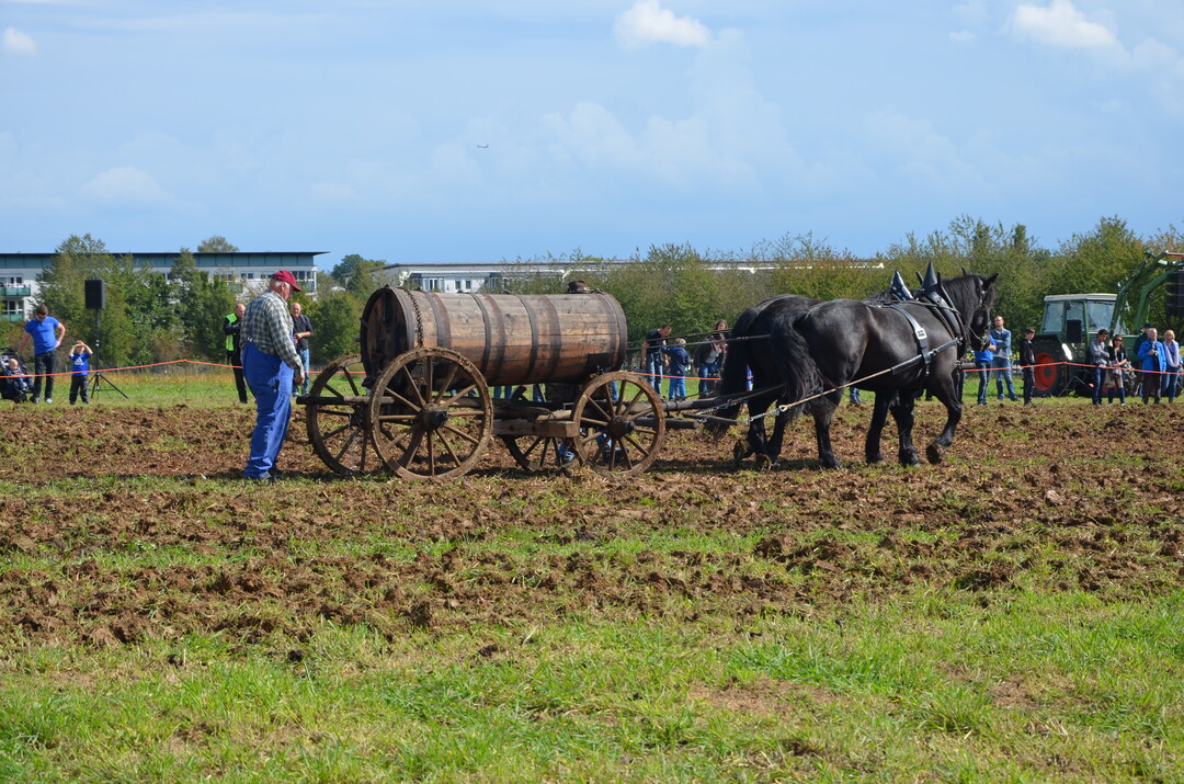 Kontinuierlich l�uft G�lle aus dem gezogenen Fass.