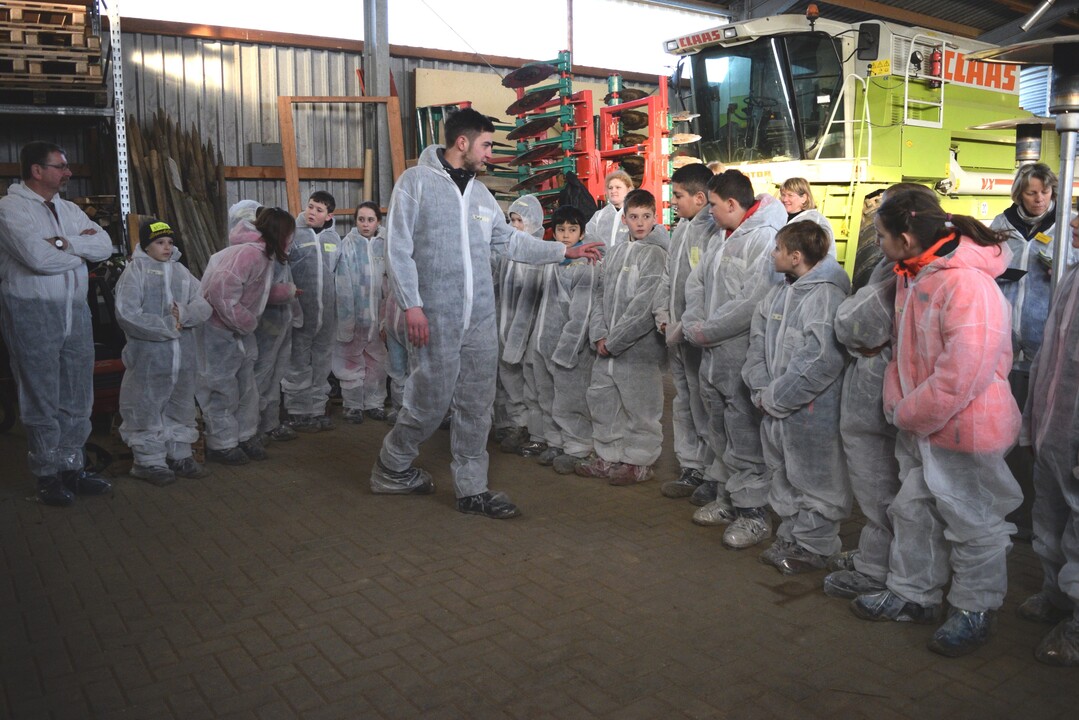 Bevor es in den Stall geht, werden alle Schüler in Gruppen aufgeteilt.