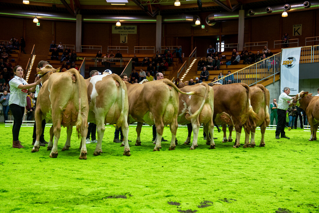 Die Wahl zum besten Euter der Schau unterstrich das hohe Niveau der gezeigten Kühe.