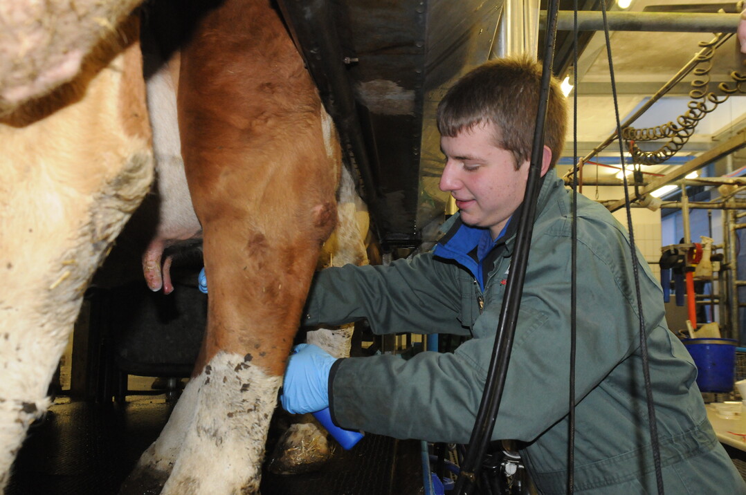 Landesmelkwettbewerb 2018