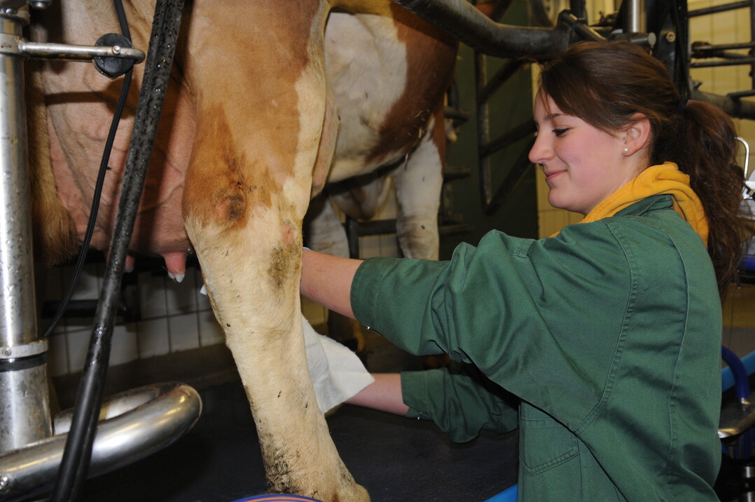 Landesmelkwettbewerb 2018