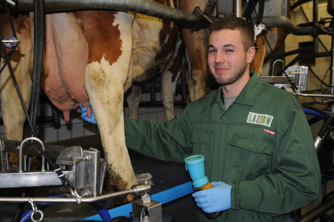 Landemelksieger 2018: Simon German