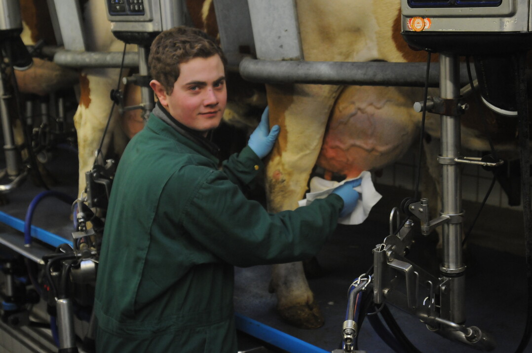 Landesmelkwettbewerb 2018