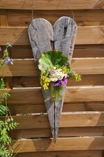 Im Garten von Sigrid Wolf