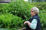 Inge Degenhardt stellt ihr Hochbeet vor