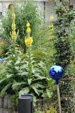 Im Garten von Sigrid Wolf