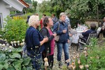 Im Garten von Judith Kösl-Lingl