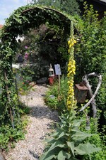 Im Garten von Gerhard und Petra Knaus