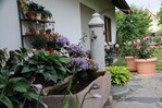 Im Garten von Familie Kopf