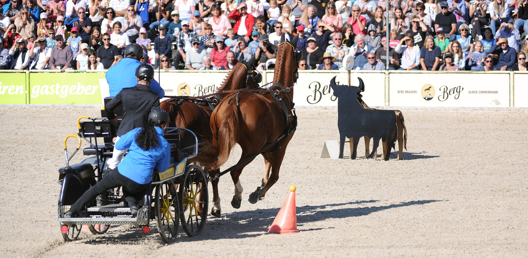 Geschickt durch den Parcours Drei Reiter-Fahrer-Teams lieferten sich packende Duelle in einem anspruchsvollen Speedtrail, der in der südeuropäischen Arbeitsreitweise Working Equitation geritten wird, und einem kniffligen Fahrparcours und riefen bei der Premiere Begeisterungsstürme auf den Rängen aus.