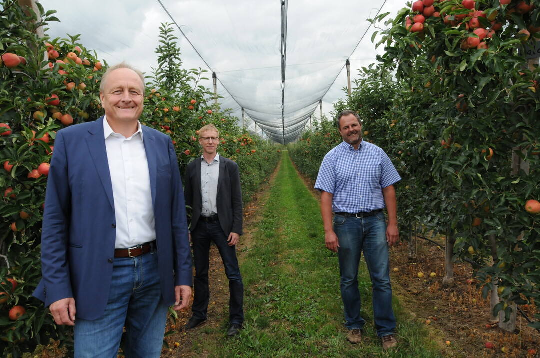 Stellen eine durchschnittliche Ernte für Baden-Württemberg fest: v. l. LBV-Präsident Joachim Rukwied, LBV-Geschäftsführer Marco Eberle und Landwirt Jens Bauer vom Apfelparadies Bauer