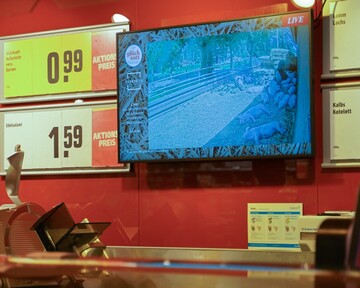  Hinter der Fleischtheke erscheinen M�rixmanns Schweine auf einem Bildschirm. Die Verk�uferin ist extra geschult, um fundiert Auskunft zu tierwohl.tv geben zu k�nnen. 