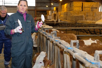 Tierärztin Nina Siegmund demonstriert auf dem Hof von Familie Bäßler in Markgröningen die Impfung gegen die Blauzungenkrankheit.